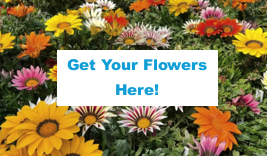 Get Your Flowers Here sign with different colored flowers in the background