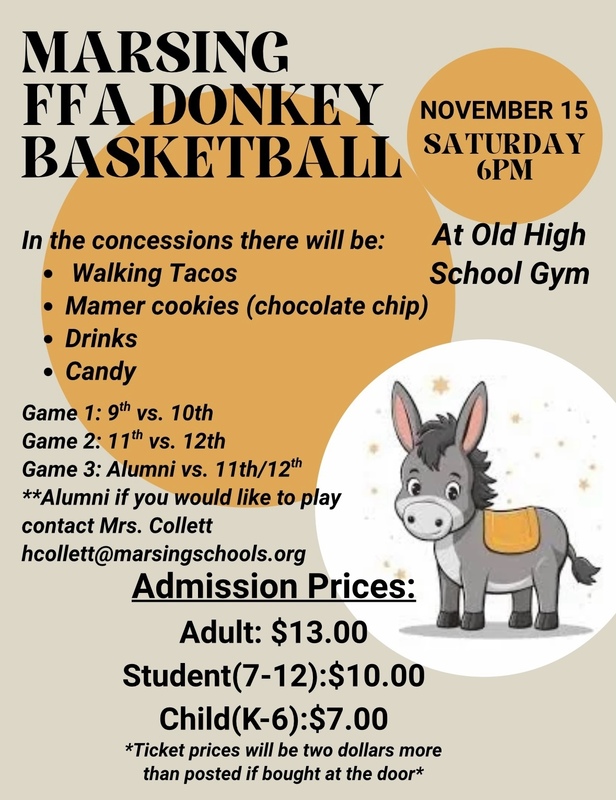 ffa donkey basketball flyer