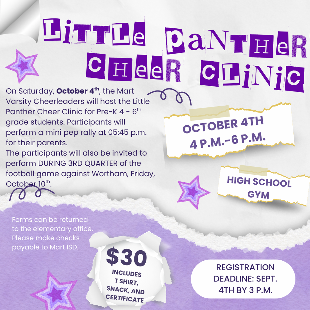 Little Panther Cheer Clinic (3) (2)