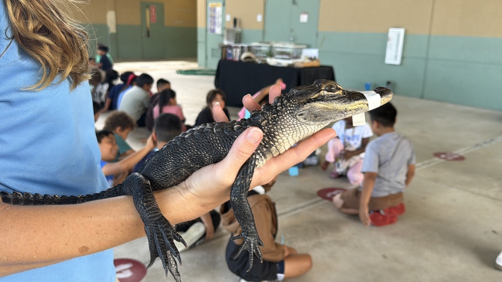 Ally the Alligator from the Treasure Coast Wildlife Center makes a visit to Port Salerno Elementary School