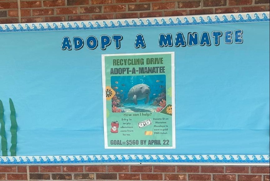 adopt a manatee