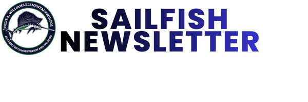 sailfish newsletter