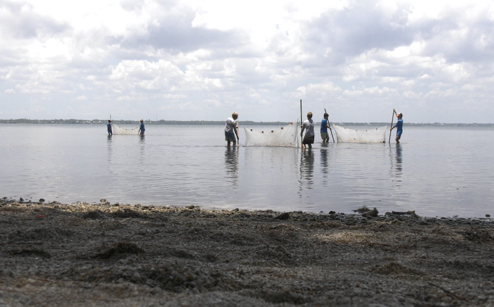 Students seining at Herman Beach in St. Lucie County,  FL
