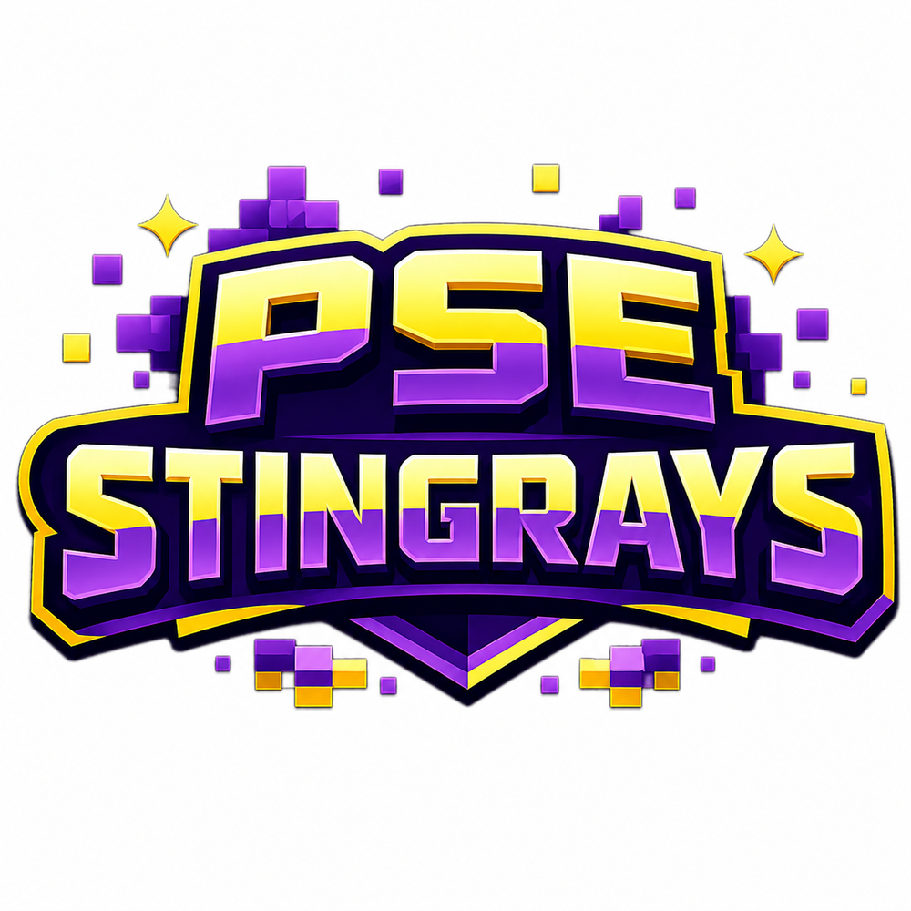 PSE Level Up Logo