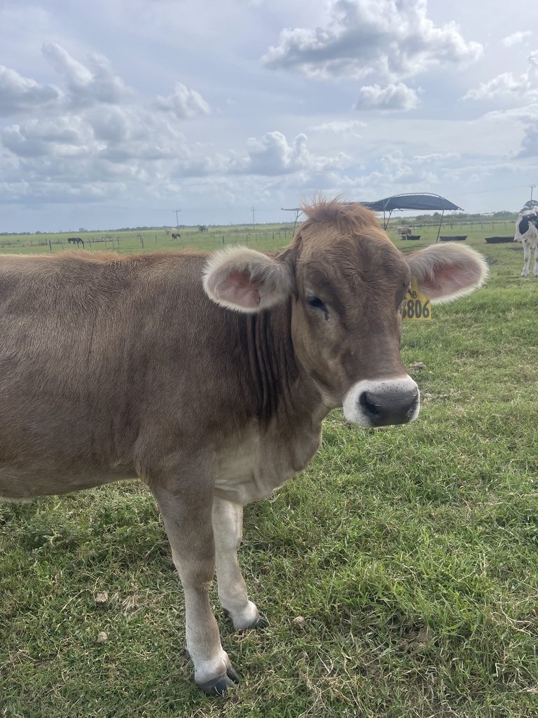 Florida Dairy professional development for high school biology teachers