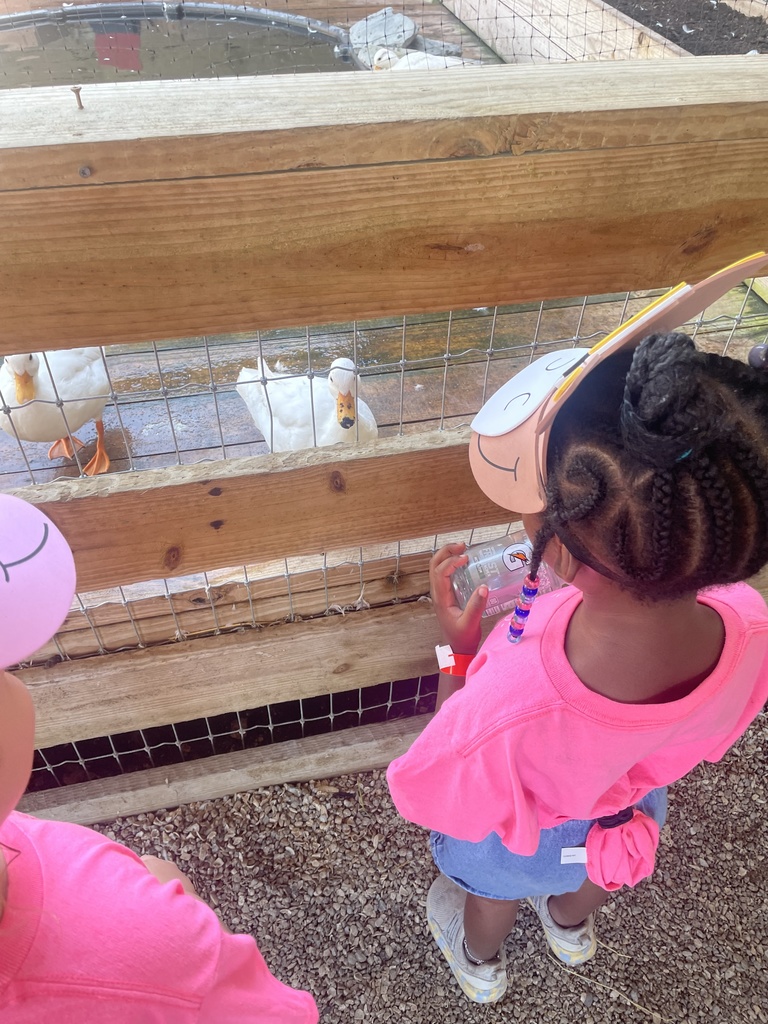 Pinewood Extended Day campers visit Hobe Sound Farms