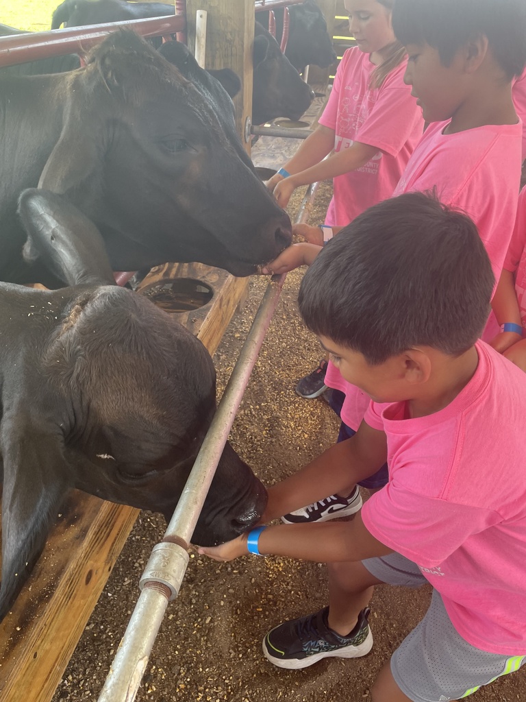 Pinewood Extended Day campers visit Hobe Sound Farms