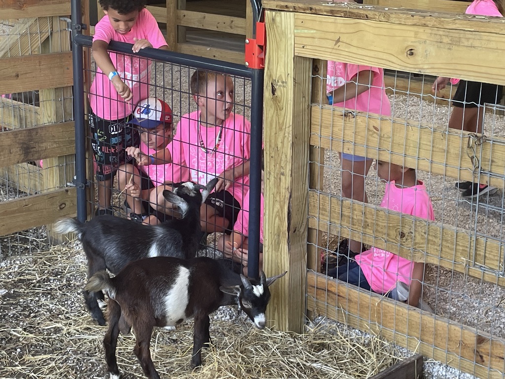 Pinewood Extended Day campers visit Hobe Sound Farms