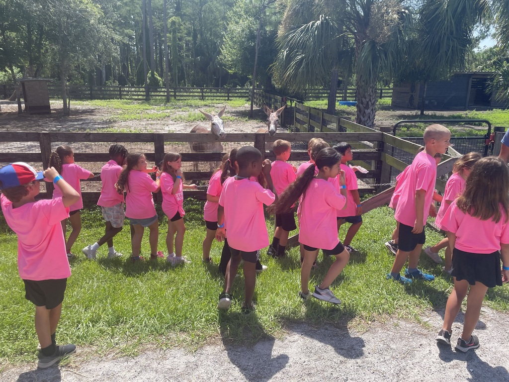 Pinewood Extended Day campers visit Hobe Sound Farms