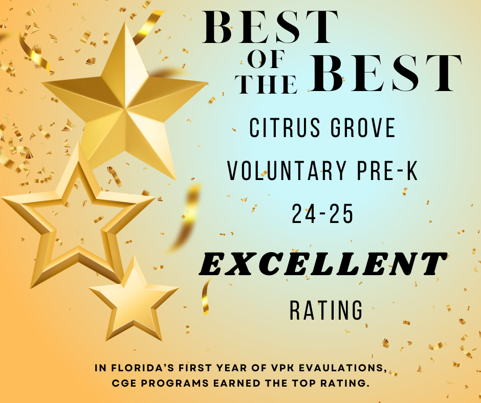 VPK Earns Excellent Rating