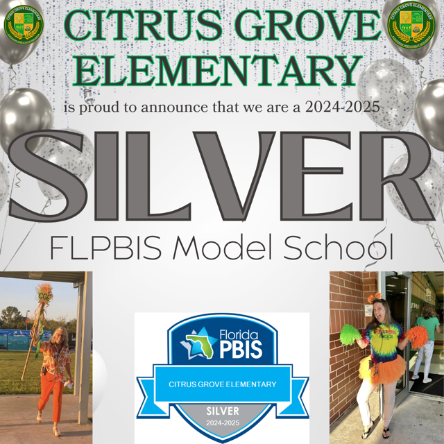 Silver PBiS Award