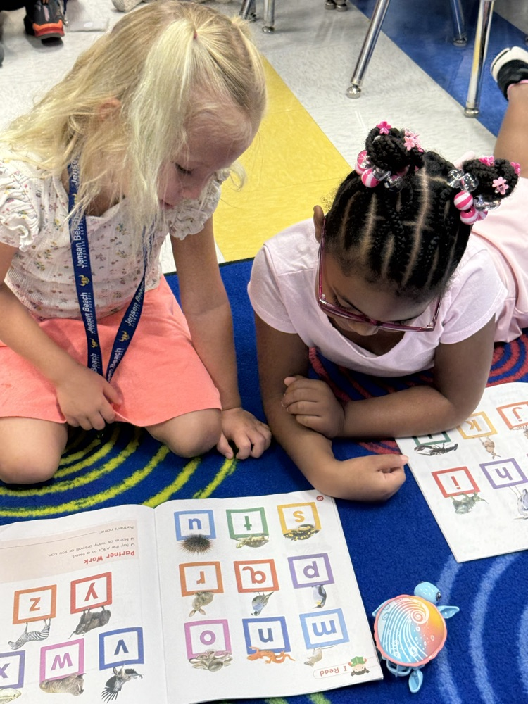 Reading partners