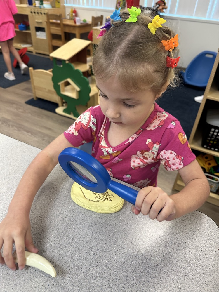 VPK 