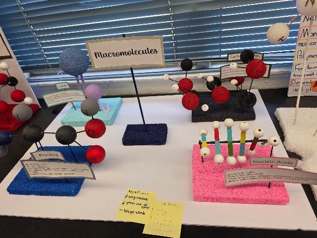 Macromolecules Pre-AICE Biology Study @MCHS