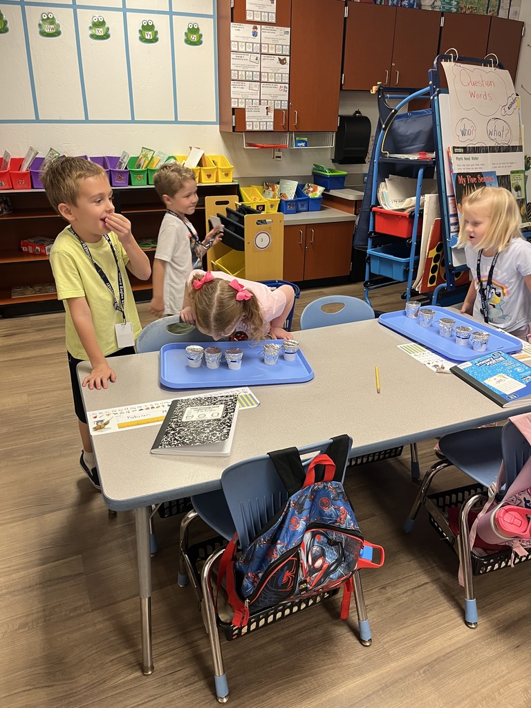 5 senses lab