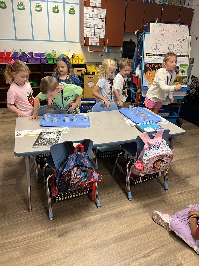 5 senses lab