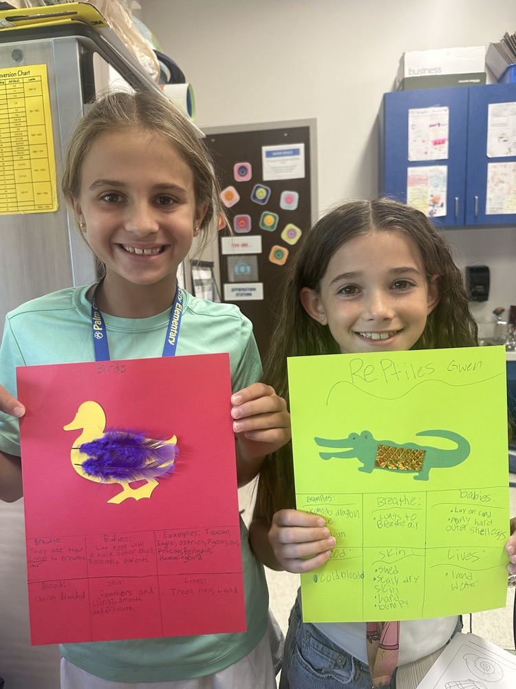 Animal Classification in Third Grade! 