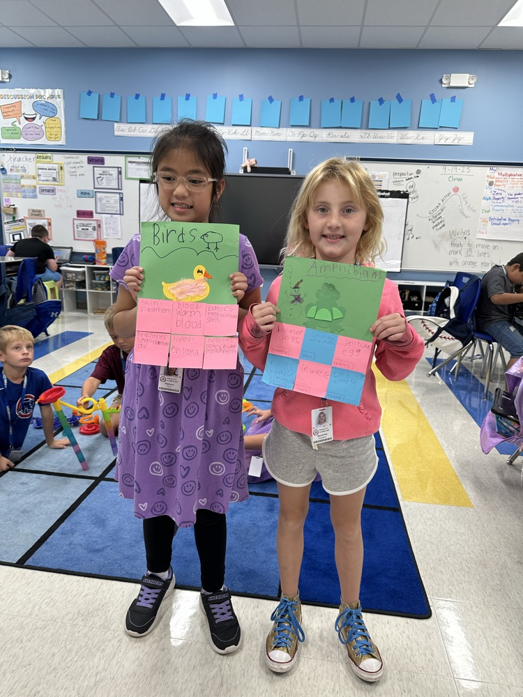 Animal Classification in Third Grade! 