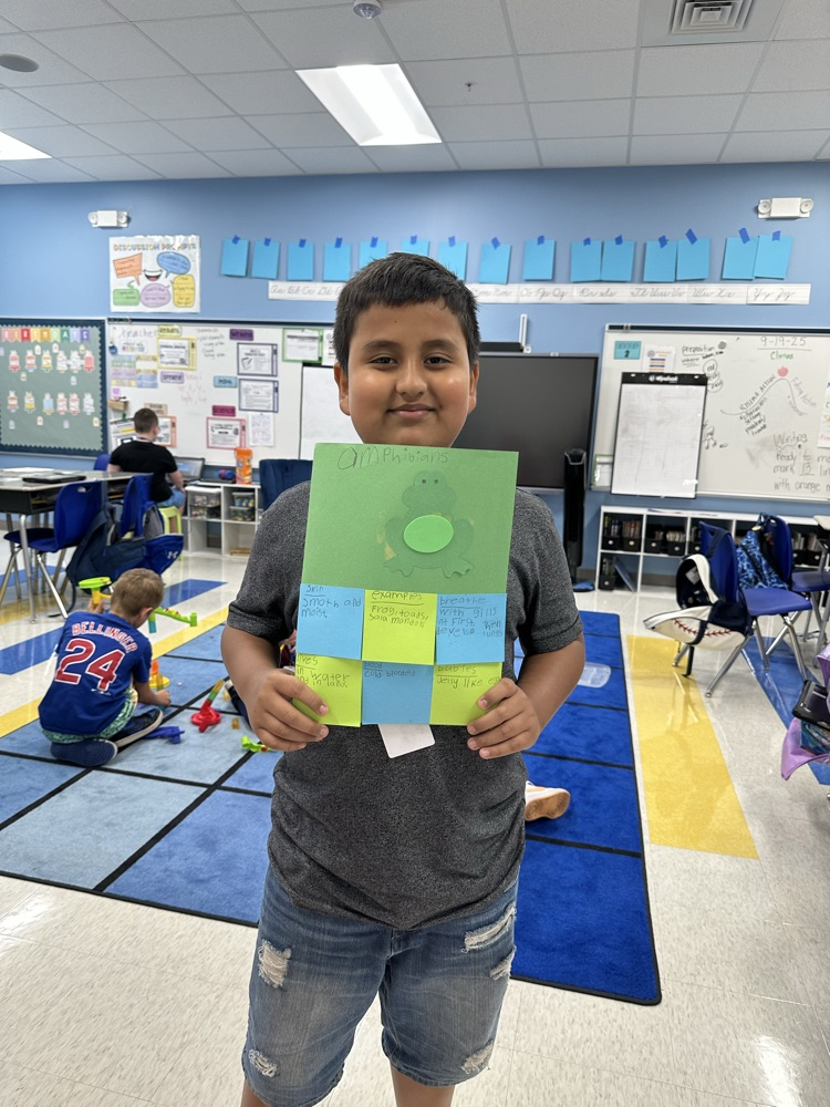 Animal Classification in Third Grade! 