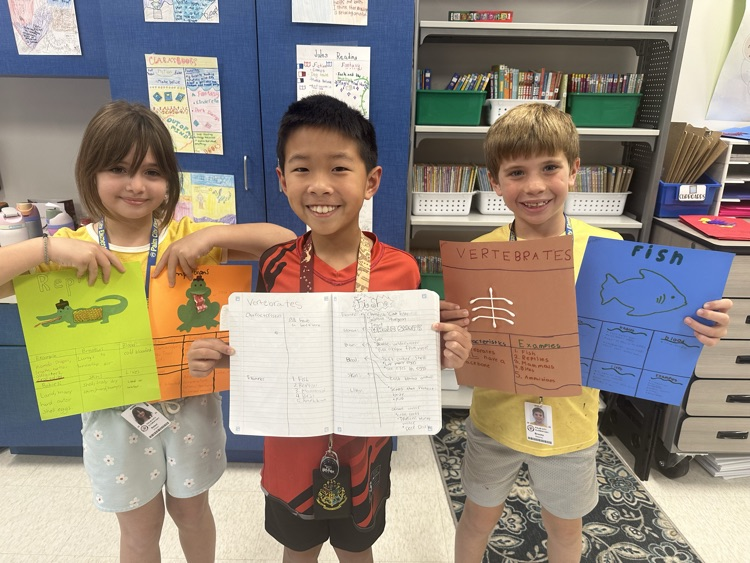 Animal Classification in Third Grade! 