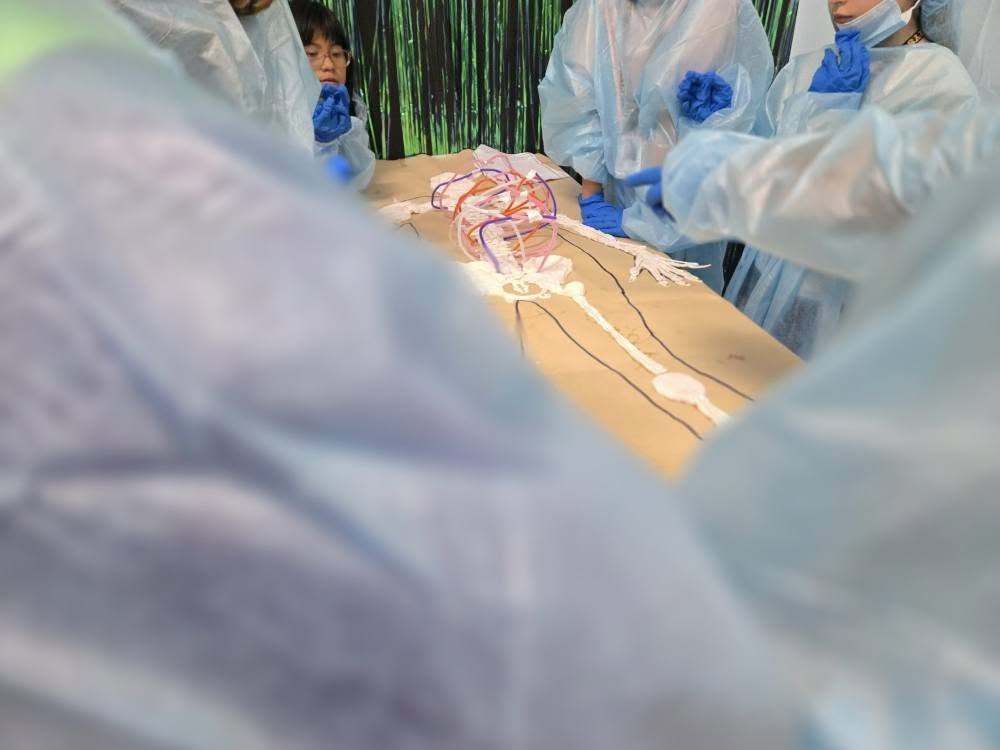 Crystal Lake Elementary 5th graders test their medical knowledge