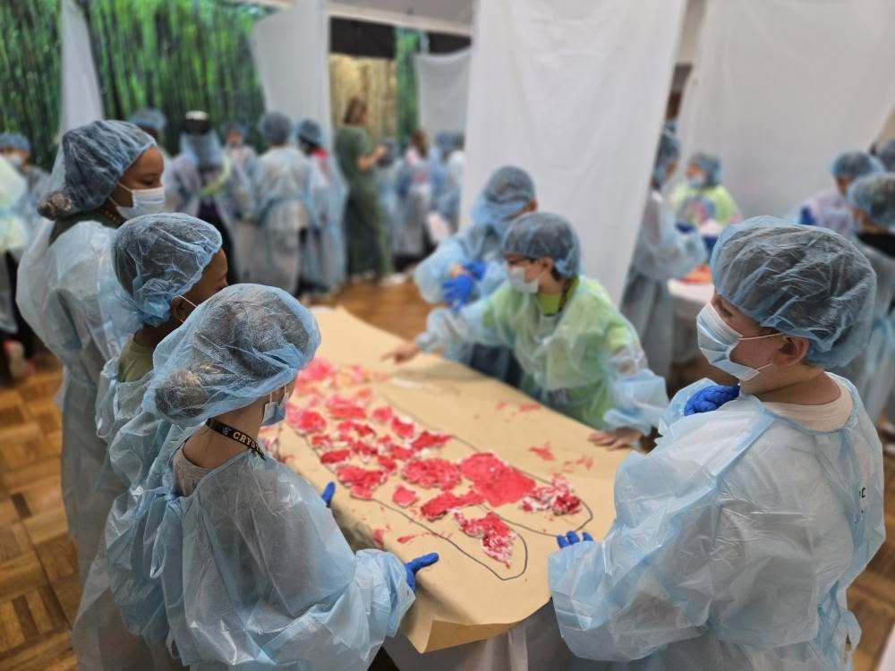 Crystal Lake Elementary 5th graders test their medical knowledge