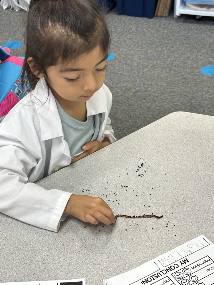 worms