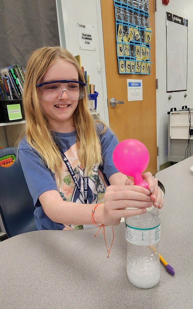 Hastings class completes an experiment using mystery powders and solunters to create chemical reactions