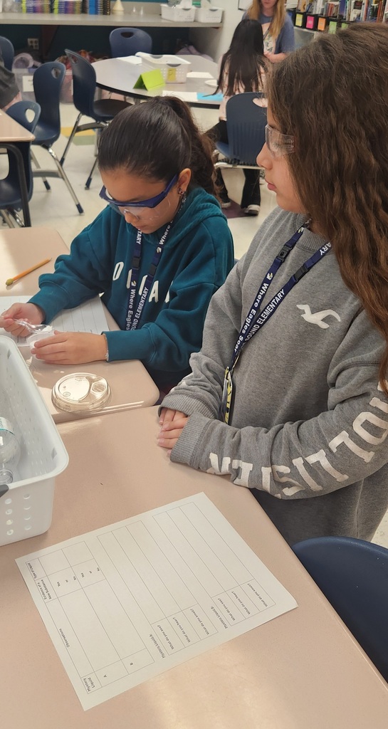 Hastings class completes an experiment using mystery powders and solunters to create chemical reactions