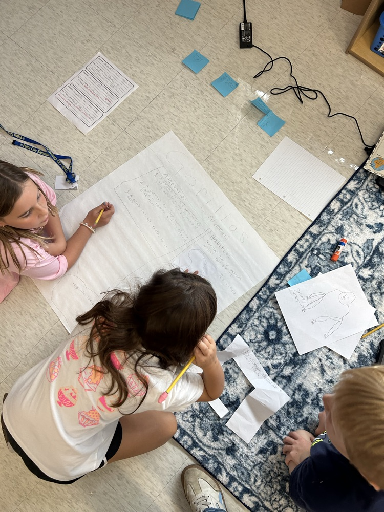 3rd Grade PBL