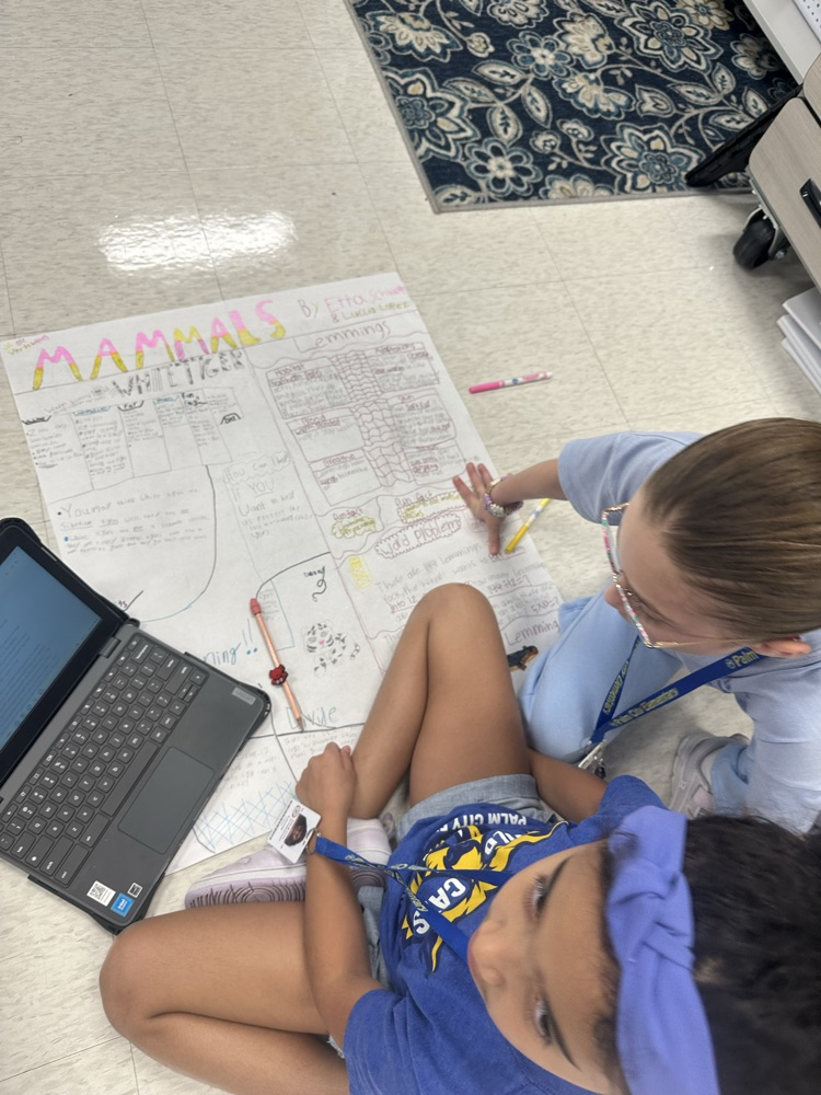 3rd Grade PBL