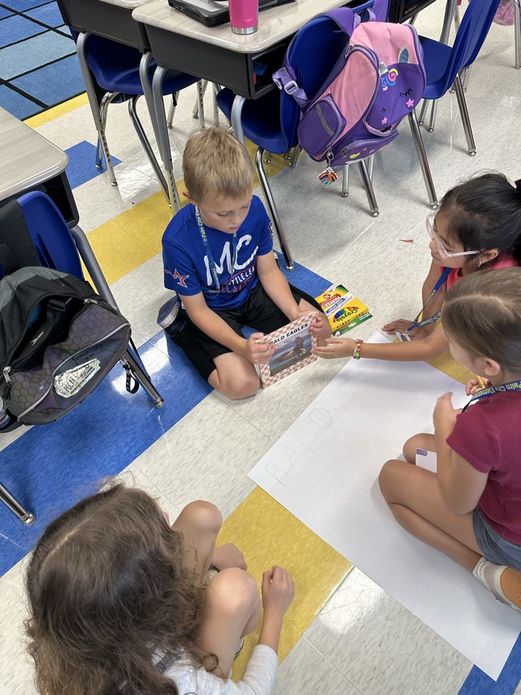 3rd Grade PBL