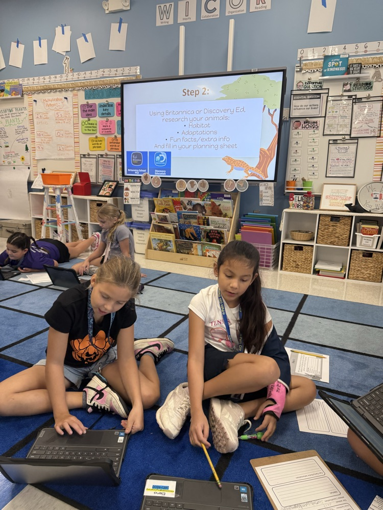 3rd Grade PBL