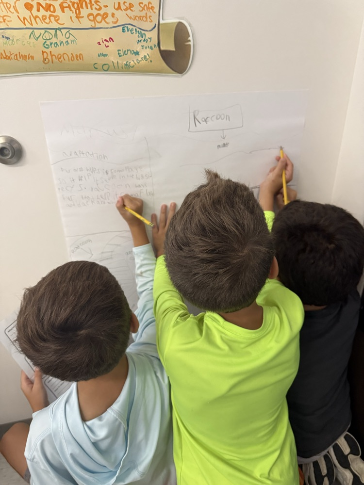 3rd Grade PBL