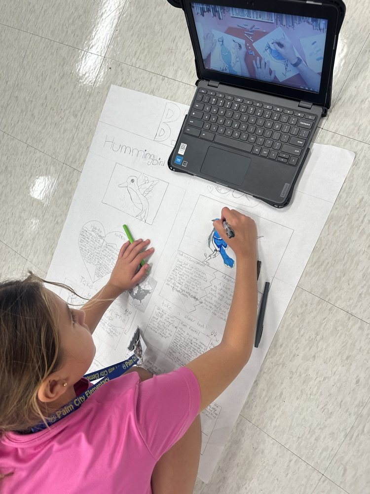 3rd Grade PBL
