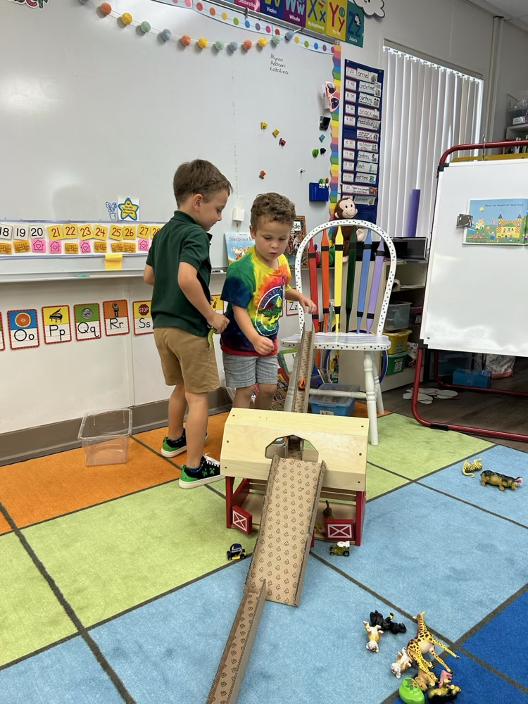 VPK