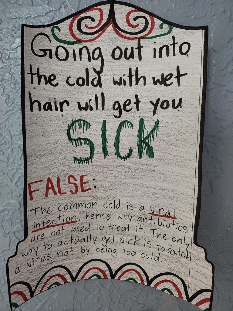 Medical Myth Graveyard @MCHS