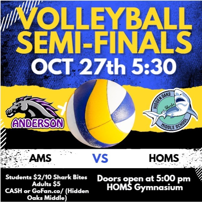 HOMS volleyball semifinals
