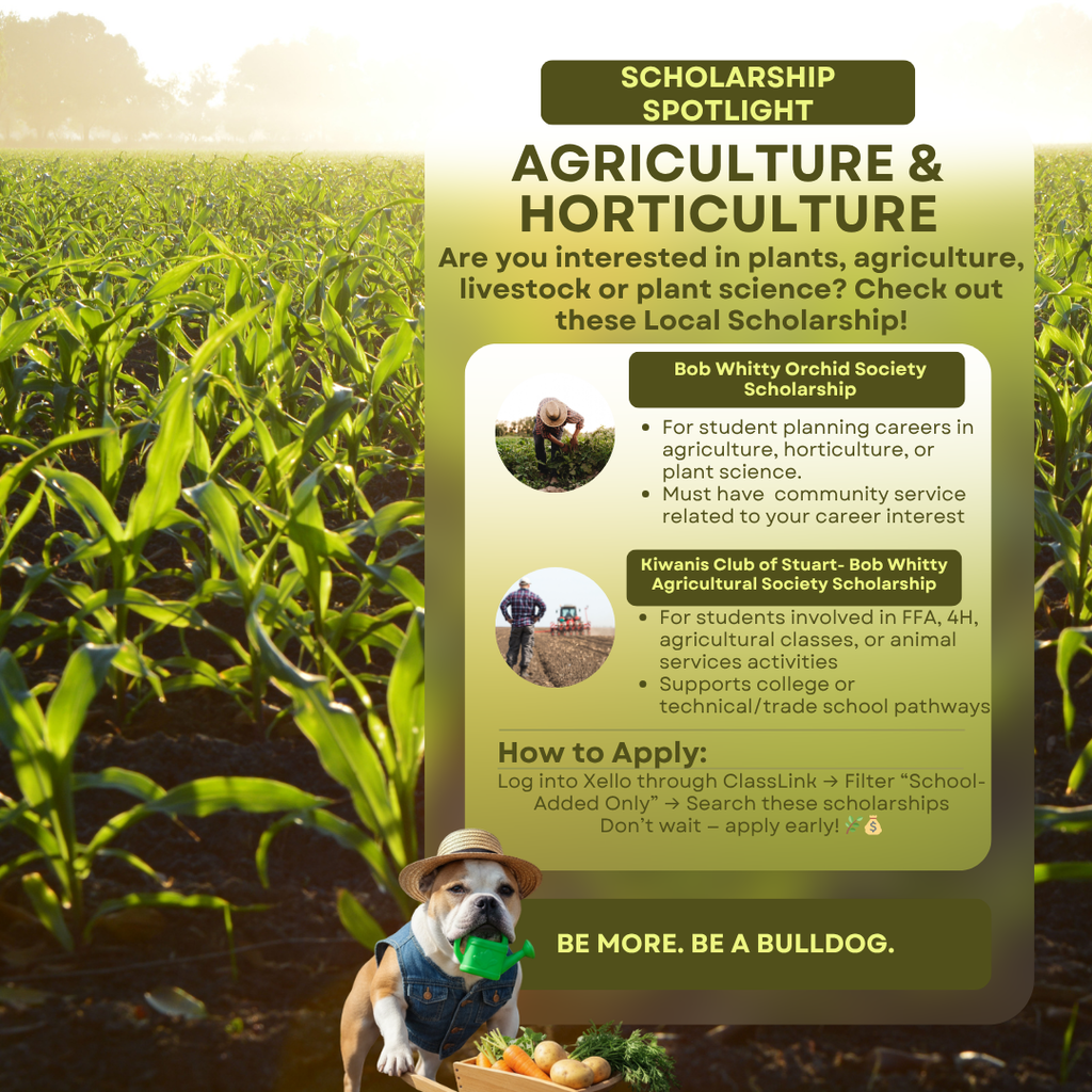 Scholarship Spotlight 5