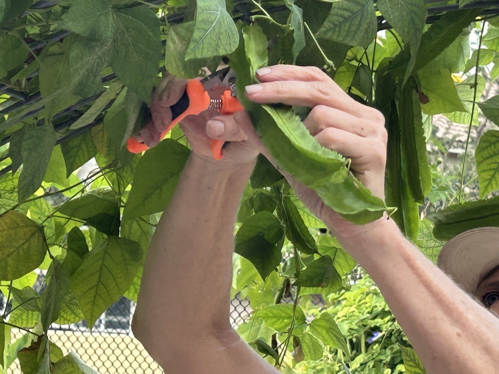 PCE Garden Club had successful first meeting