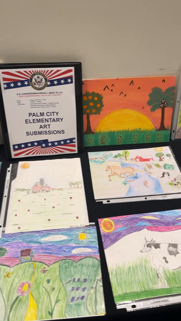 congressional youth art contest