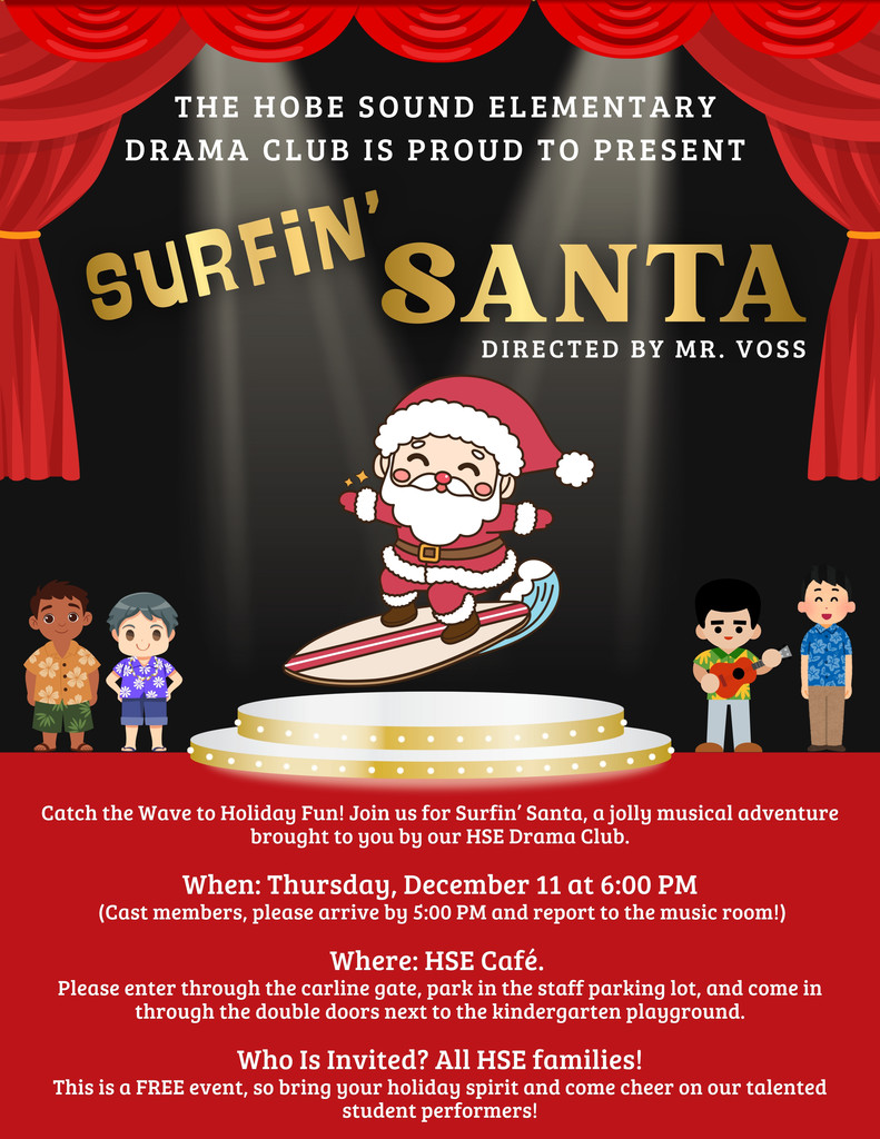 HSE Surfin' Santa Flyer