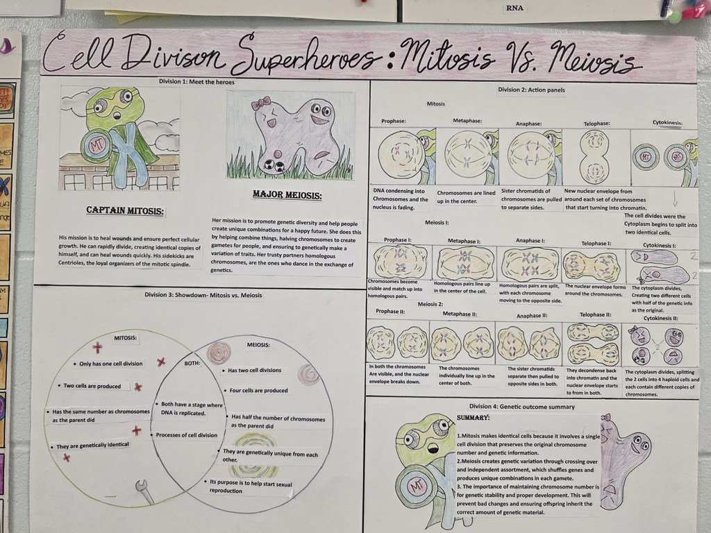 Science Meets Superheroes @MCHS! 