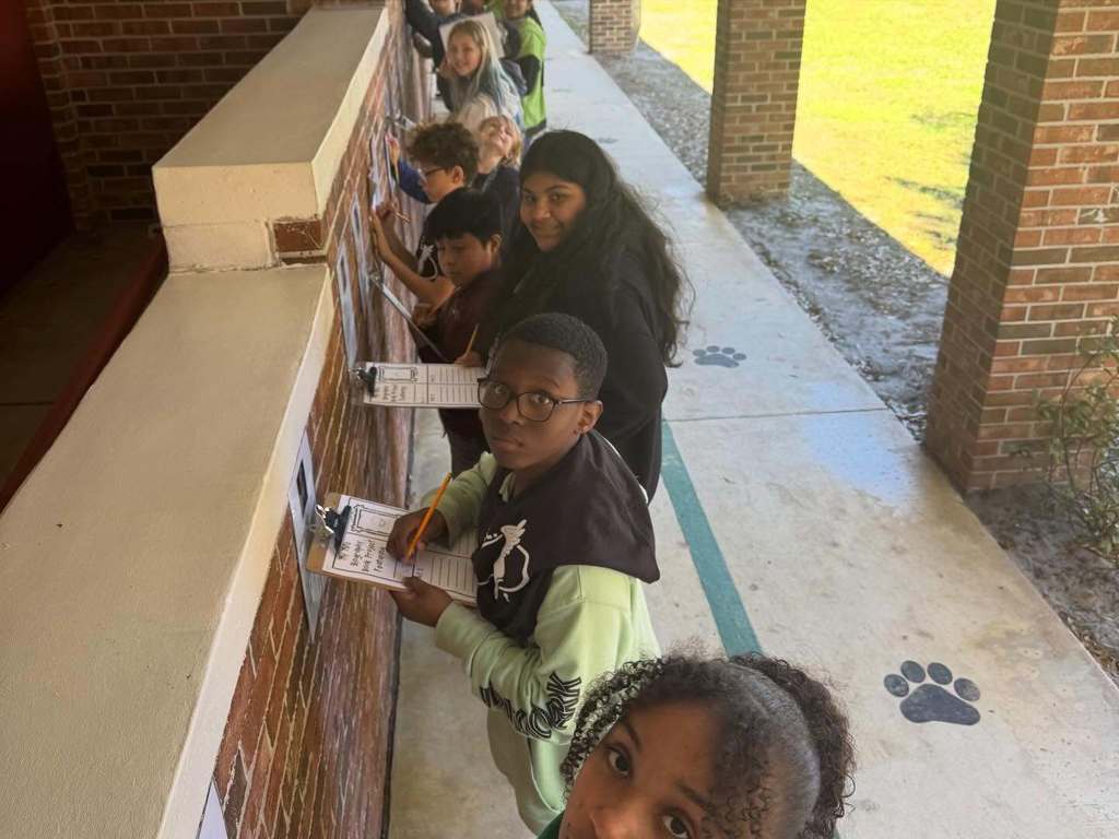 Celebrate literacy week comes to an end...