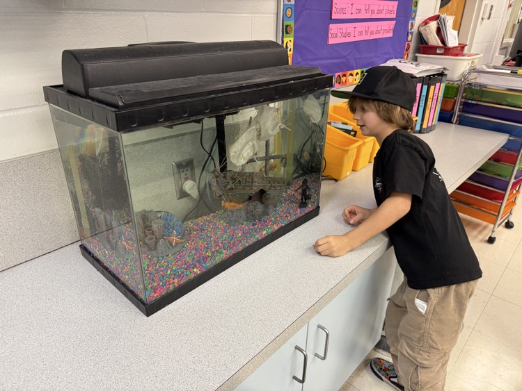 kindergarten kick-off night