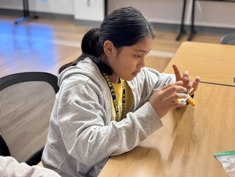 JDP students participate in STEM field experience 