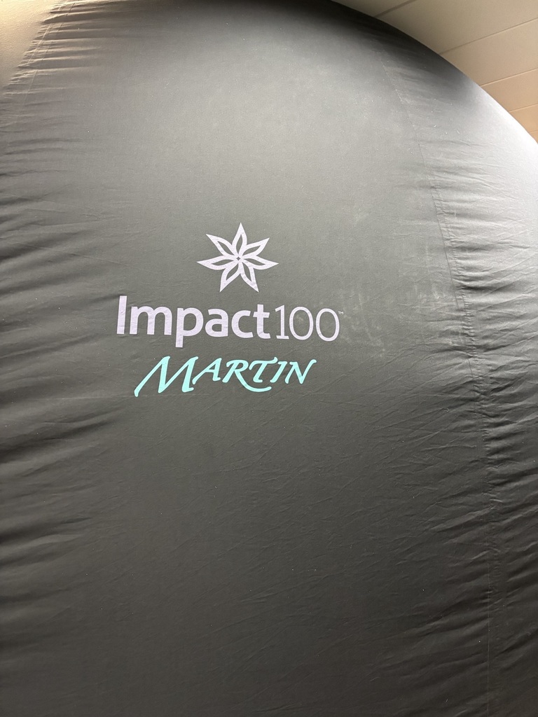 Impact100 Martin Logo