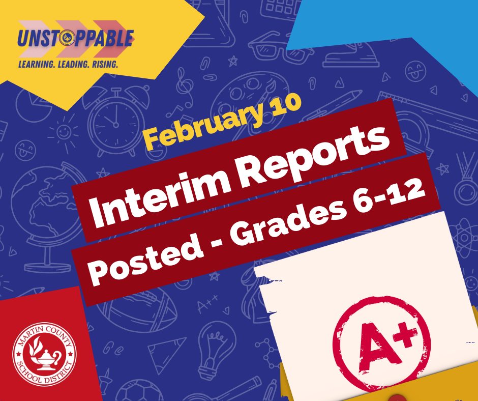 Interim Reports February