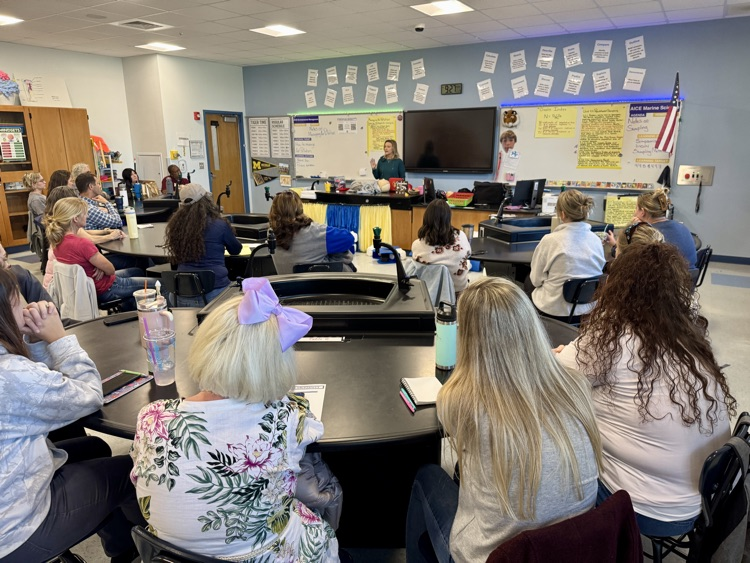 professional learning day at MCHS