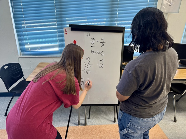 professional learning day at MCHS